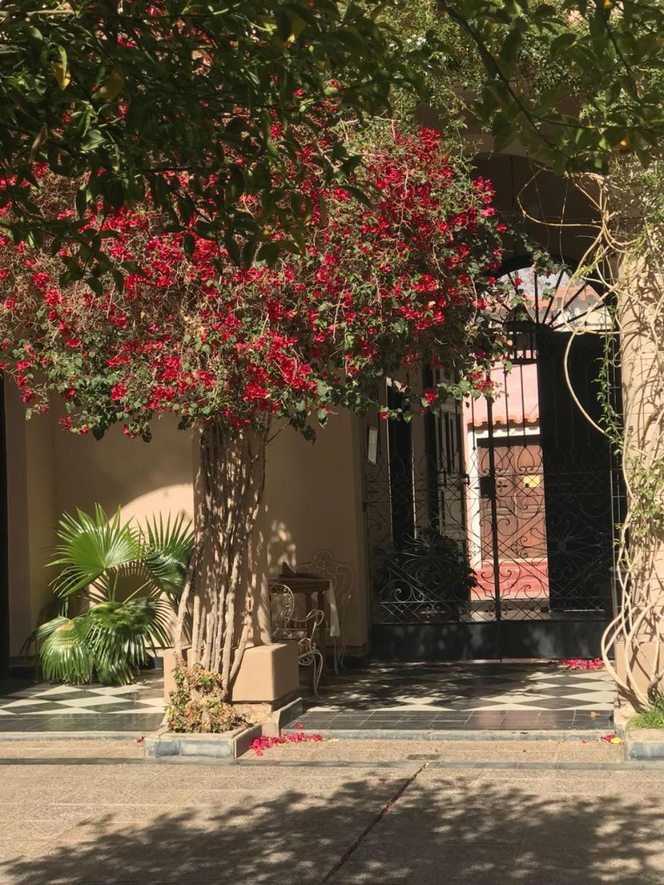 Vieja Posada Hotel Historico Cafayate Exterior foto